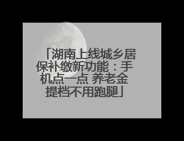 湖南上线城乡居保补缴新功能：手机点一点 养老金提档不用跑腿