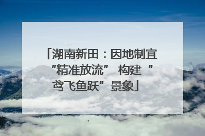 湖南新田：因地制宜“精准放流” 构建“鸢飞鱼跃”景象
