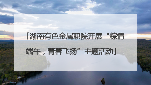 湖南有色金属职院开展“粽情端午，青春飞扬”主题活动