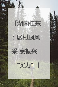 湖南桂东：展村厨风采 烹振兴“实力”
