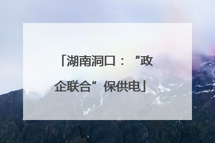 湖南洞口：“政企联合”保供电
