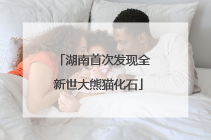 湖南首次发现全新世大熊猫化石