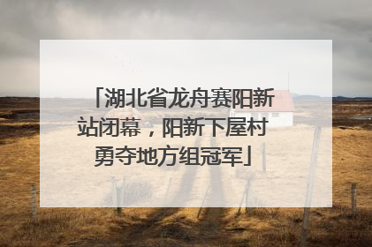湖北省龙舟赛阳新站闭幕，阳新下屋村勇夺地方组冠军