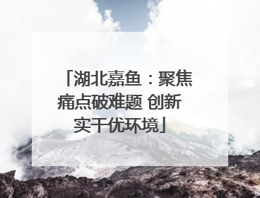 湖北嘉鱼：聚焦痛点破难题 创新实干优环境