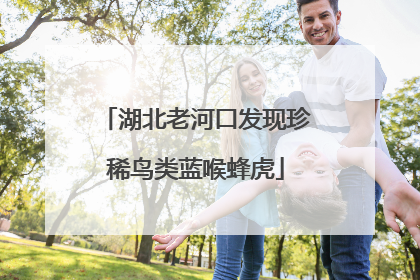湖北老河口发现珍稀鸟类蓝喉蜂虎