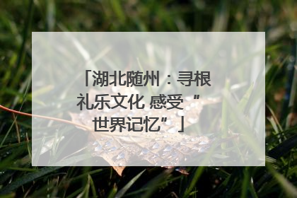 湖北随州：寻根礼乐文化 感受“世界记忆”