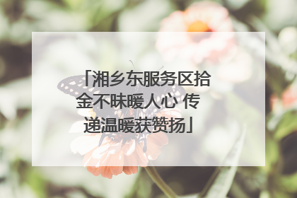 湘乡东服务区拾金不昧暖人心 传递温暖获赞扬