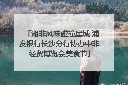 湘非风味碰撞星城 浦发银行长沙分行协办中非经贸博览会美食节