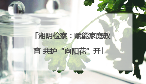 湘阴检察：赋能家庭教育 共护“向阳花”开