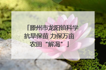 滕州市龙阳镇科学抗旱保苗 力保万亩农田“解渴”