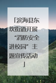 滨海县东坎街道开展“消防安全进校园”主题宣传活动