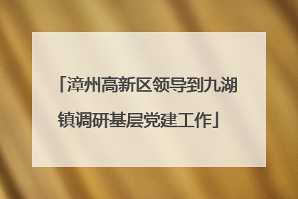 漳州高新区领导到九湖镇调研基层党建工作