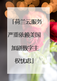 荷兰云服务严重依赖美国 加剧数字主权忧虑