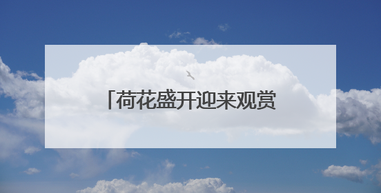 荷花盛开迎来观赏期！济南这12处赏花地你可知？