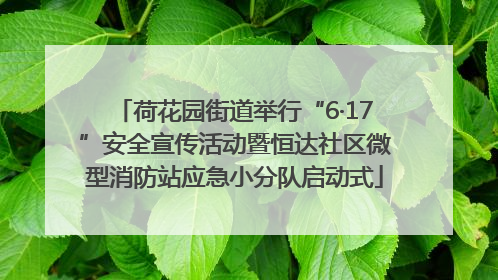 荷花园街道举行“6·17”安全宣传活动暨恒达社区微型消防站应急小分队启动式