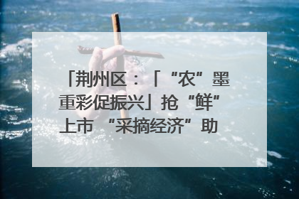 荆州区：「“农”墨重彩促振兴」抢“鲜”上市 “采摘经济”助农“甜蜜增收”