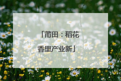 莆田：稻花香里产业新