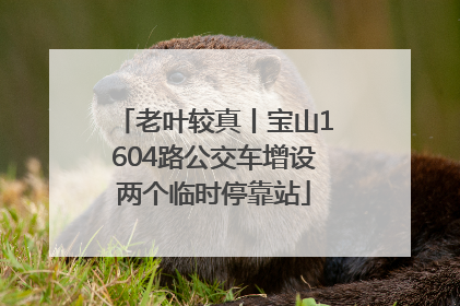 老叶较真丨宝山1604路公交车增设两个临时停靠站