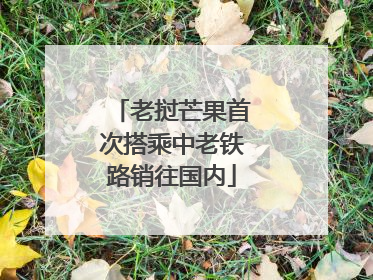 老挝芒果首次搭乘中老铁路销往国内