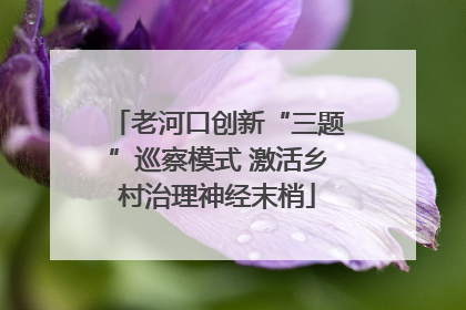 老河口创新“三题”巡察模式 激活乡村治理神经末梢