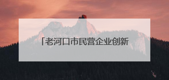 老河口市民营企业创新驱动领跑“双过半”