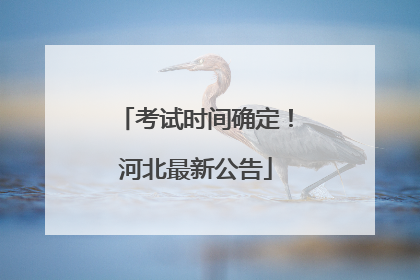考试时间确定！河北最新公告