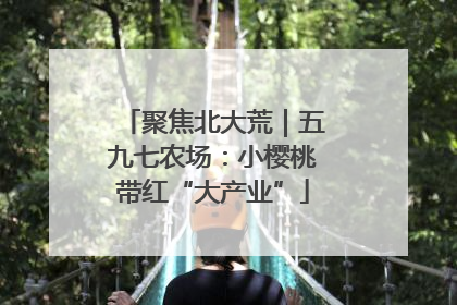 聚焦北大荒｜五九七农场：小樱桃带红“大产业”