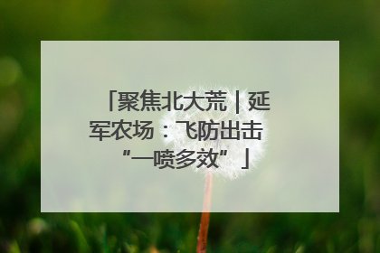 聚焦北大荒｜延军农场：飞防出击 “一喷多效”
