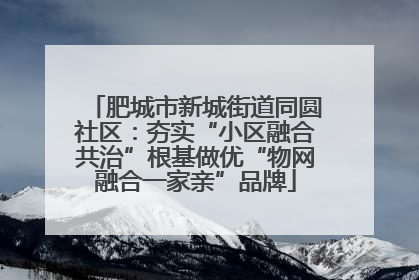 肥城市新城街道同圆社区:夯实“小区融合共治”根基做优“物网融合一家亲”品牌