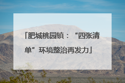 肥城桃园镇：“四张清单”环境整治再发力