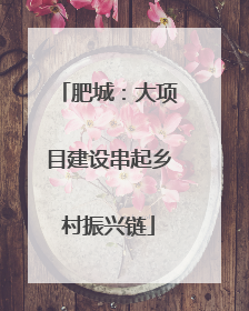 肥城：大项目建设串起乡村振兴链
