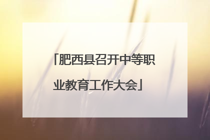 肥西县召开中等职业教育工作大会