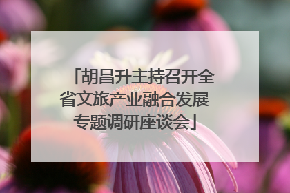 胡昌升主持召开全省文旅产业融合发展专题调研座谈会