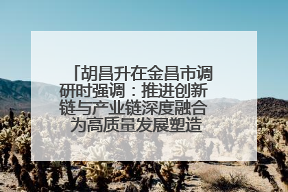 胡昌升在金昌市调研时强调：推进创新链与产业链深度融合 为高质量发展塑造新动能新优势