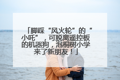脚踩“风火轮”的“小吒”，可脱离遥控板的机器狗，泡桐树小学来了新朋友！