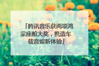 腾讯音乐获两项鸿蒙座舱大奖，携造车载音娱新体验