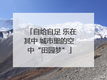 自给自足 乐在其中 城市里的空中“田园梦”