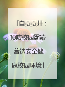 自贡贡井：预防校园霸凌 营造安全健康校园环境