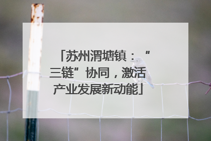 苏州渭塘镇：“三链”协同，激活产业发展新动能