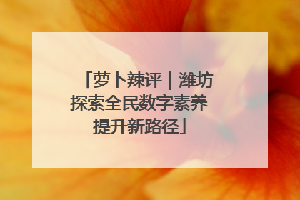 萝卜辣评｜潍坊探索全民数字素养提升新路径