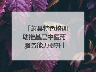 萧县特色培训助推基层中医药服务能力提升