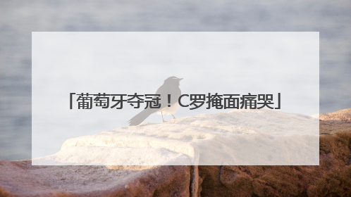 葡萄牙夺冠！C罗掩面痛哭