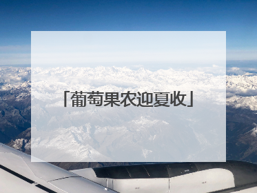 葡萄果农迎夏收