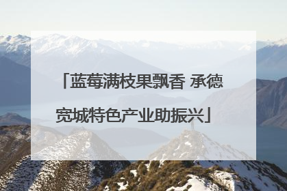 蓝莓满枝果飘香 承德宽城特色产业助振兴