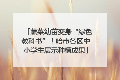 蔬菜幼苗变身“绿色教科书”！哈市各区中小学生展示种植成果