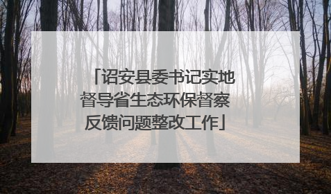 诏安县委书记实地督导省生态环保督察反馈问题整改工作