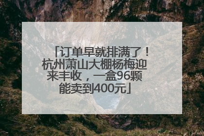 订单早就排满了！杭州萧山大棚杨梅迎来丰收，一盒96颗能卖到400元