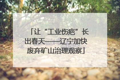 让“工业伤疤”长出春天——辽宁加快废弃矿山治理观察