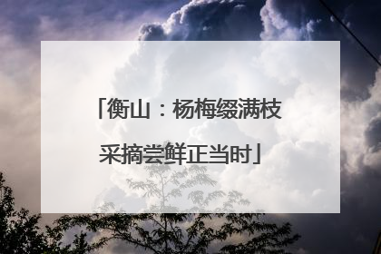 衡山：杨梅缀满枝 采摘尝鲜正当时