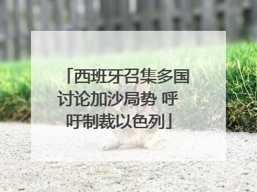 西班牙召集多国讨论加沙局势 呼吁制裁以色列